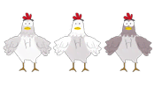 Chickens - South Park