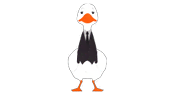 Duck President - South Park