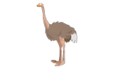 Ostrich - South Park