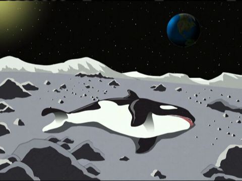 A Whale on the Moon - Season 9 Episode 13 - South Park