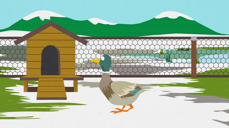 Jeffy, the Duck - Seizoen 8 Aflevering 5 - South Park
